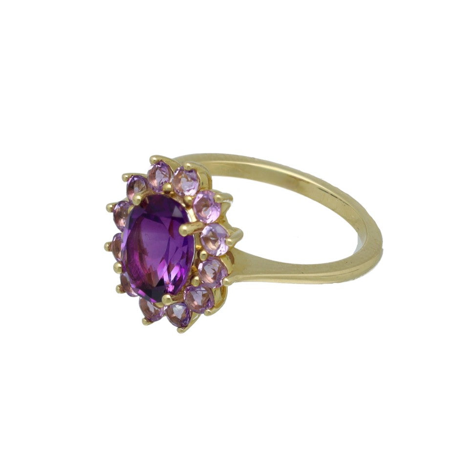14 Krt Geelgouden ring met Amethist 2