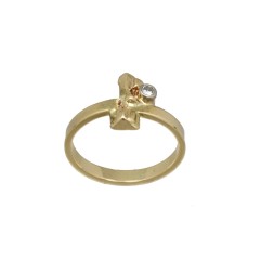 14 Krt gouden ring, ontwerp vd Hout